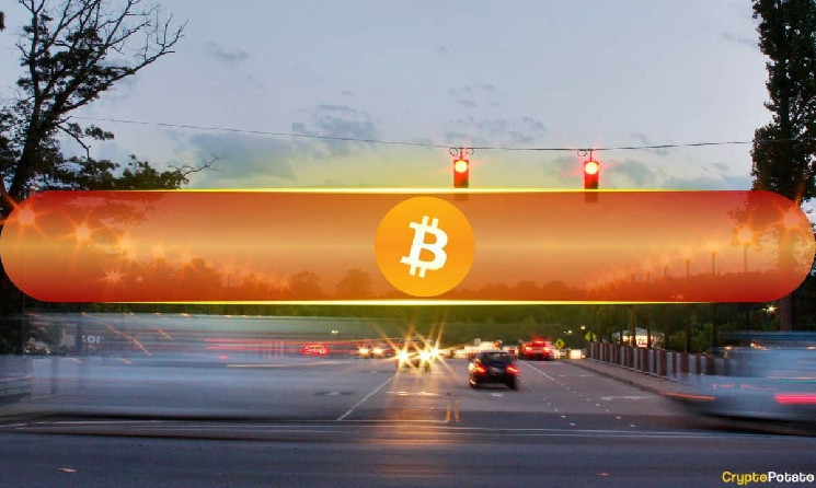 Bitcoin with less than $ 100k wipes out one whale for $ 100 million