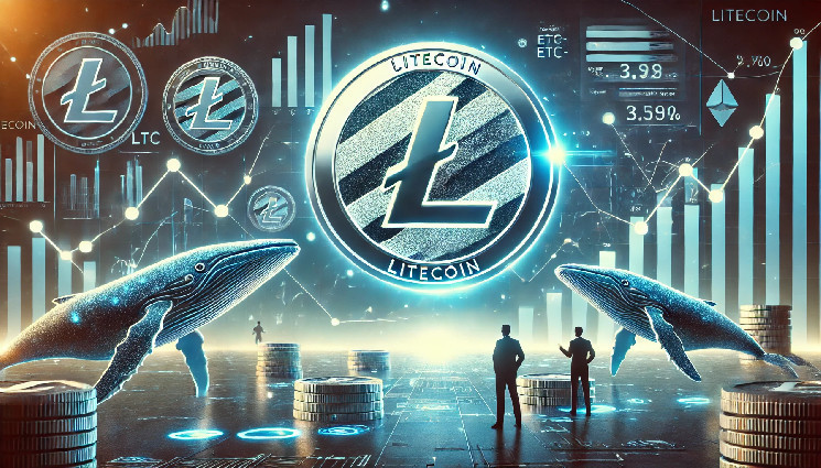 The guess of Litcoin ETF gets hot as the LTC whales rise soaring.