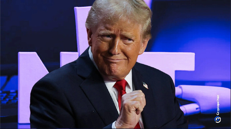Trump Memocoin starts the NFT collection up to the fourth place with global volumes