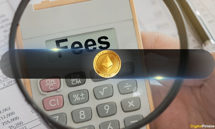 Ethereum leads the 2024 blockchain fee income at $ 2.48 billion in gas rates