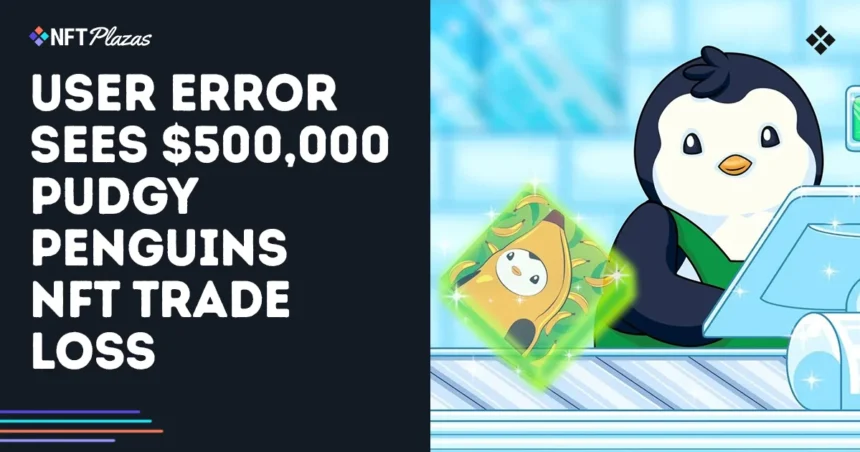 User error VE $ 500,000 Penguins Penguins NFT Commercial Loss