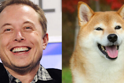 How a billionaire became a "dogefather"