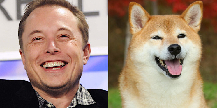 How a billionaire became a "dogefather"