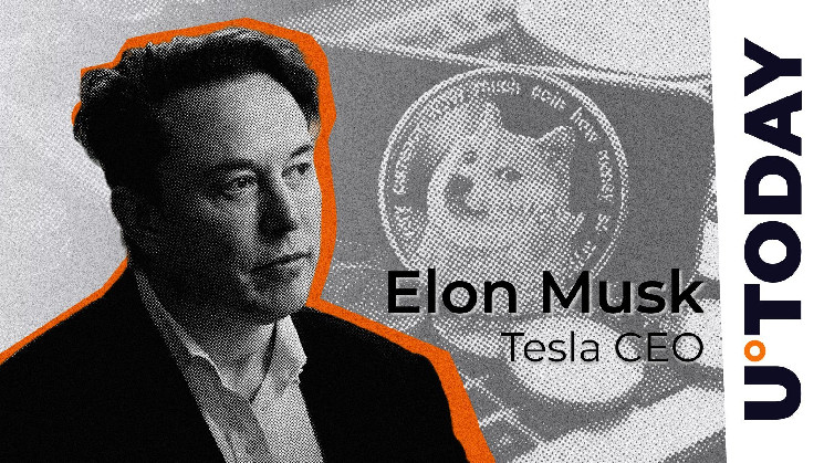 ELON MUSK's "money" statement causes the support of the DOGE team.