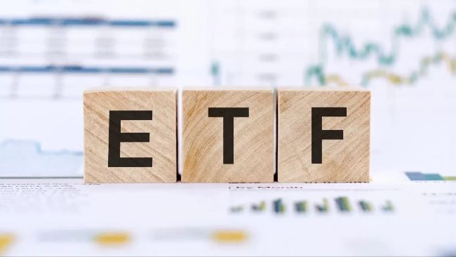 Is the ETF applicant's application likely to be approved by DOGE, XRP, SOL, LTC, BONK, and Melania Altcoins? CEO evaluated
