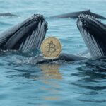Ballenas in Coinbase are buying bitcoin below $ 100,000