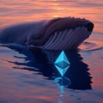 Whales absorb 330,000 eth in one day