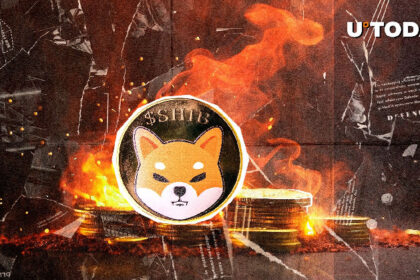 Shiba inu skyrocket with 847% burn rate as 31,010,900 shibu disappears