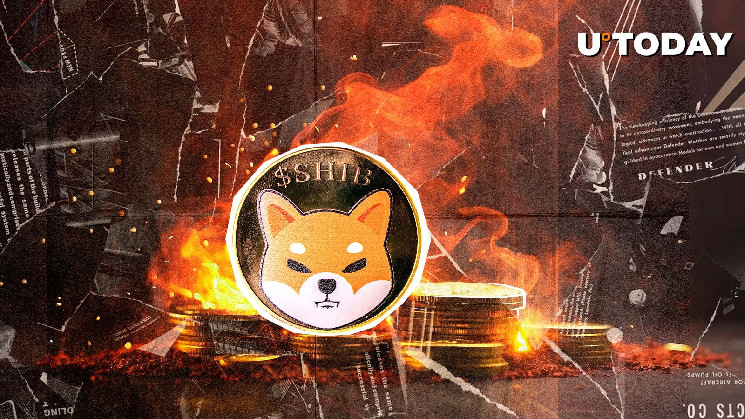 Shiba inu skyrocket with 847% burn rate as 31,010,900 shibu disappears
