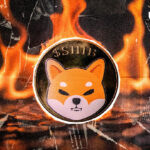 58,303,050 Sheba burned baggage burned as Sheba Dog registers impressive weekly profits