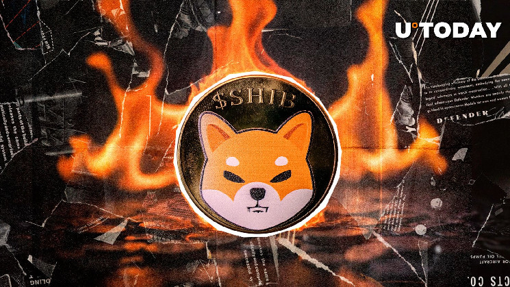 58,303,050 Sheba burned baggage burned as Sheba Dog registers impressive weekly profits