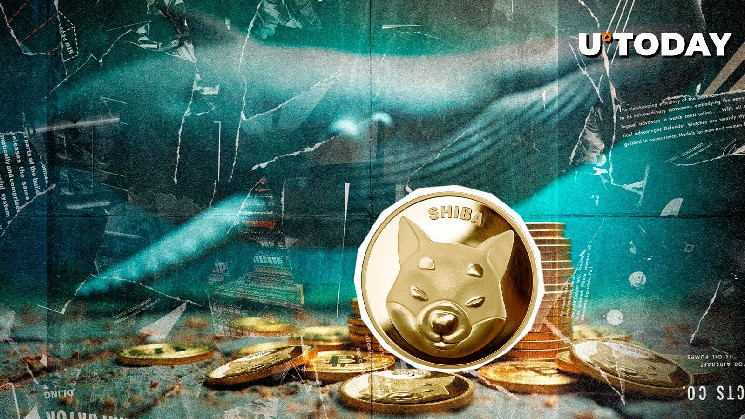 Coinbase was stumbling on the mysterious 174,354,456,455 Shiba inu (Shib) withdrawal