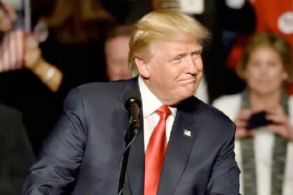 Donald Trump's crypto portfolio hits 12 months' low