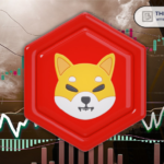Shiba Inu team encourages investors, saying "Shib will succeed"