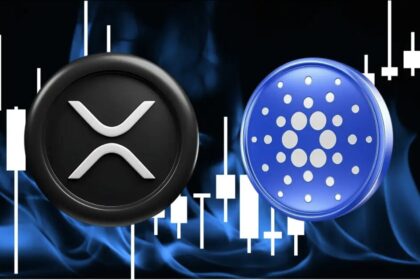 XRP Ripple