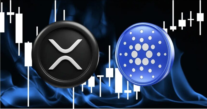 XRP Ripple