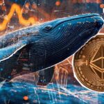 Amazing Ethereum (ETH) whale accumulation just began: More Information