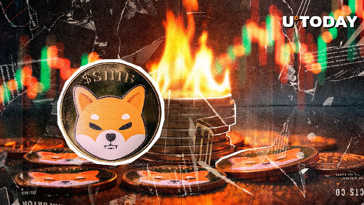 Shiv Burns records a mysterious 771,019% surge - what's going on?
