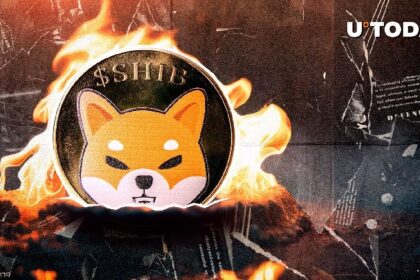 Shiba inu Weekly burn rate revival, there are possible reasons