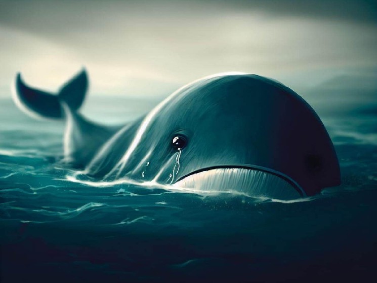 The unlucky giant cryptocurrency whale lost $17 million in this altcoin, which he bought a month ago with this altcoin