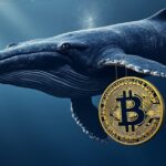 What do Bitcoin's great whales do these red days?