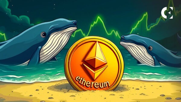 What does Ethereum whales know that we don't?