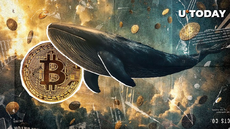 Bitcoin added by $32,917,434,000 long-term holders: $200k BTC in 2025?