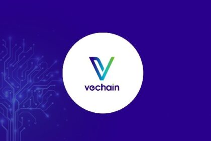 Vechain will progress in 2025 thanks to real-world behavior tracking