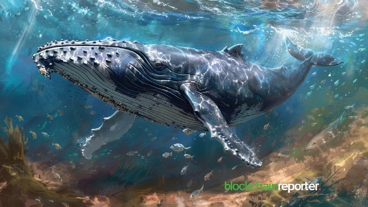 Whale will turn $1.4 million to $7.6k on Moonpig 21 days after Trump trade