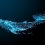 Giant whales buy this altcoin in bulk: become the second largest owner
