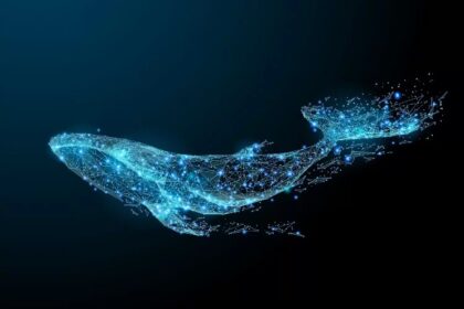 Giant whales buy this altcoin in bulk: become the second largest owner