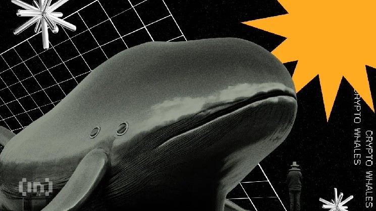 The Ethereum whales remain divided - what comes first for ETH investors?