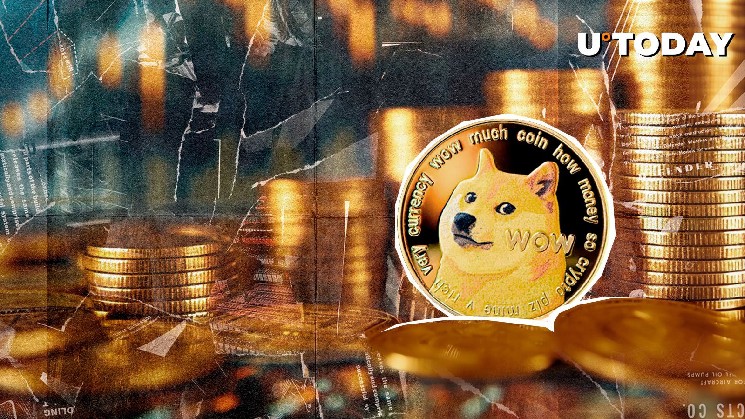 600 Million Dog Coins in 48 Hours: What's going on?