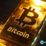 Bitcoin exceeds gold per kilo, but gold still leads to a safe haven: Mexc COO
