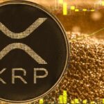 XRP is excellent at growing ETFs, SEC resolution and ripple acquisition