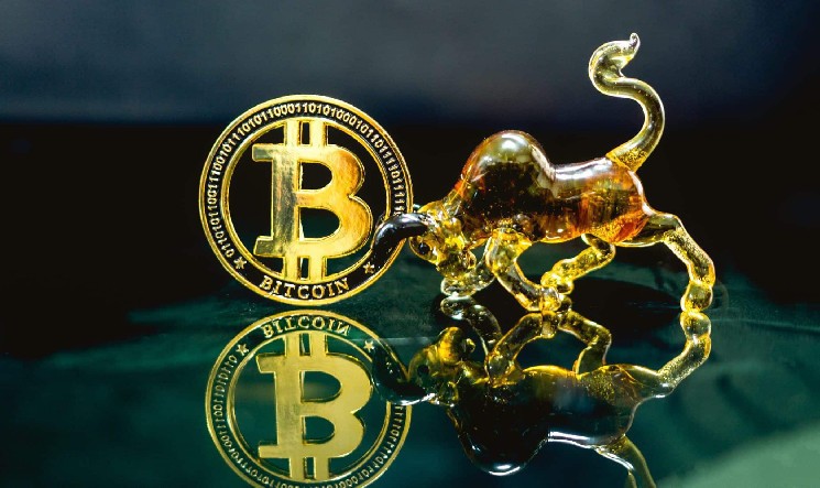 Why did Bitcoin (BTC) win a new record? Why are altcoins quiet? Analysts explain why