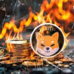 Millions of Shivs were destroyed when burn speed increased by 468,968.55%