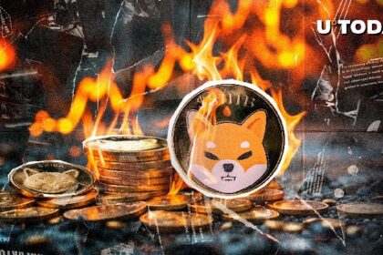 Millions of Shivs were destroyed when burn speed increased by 468,968.55%