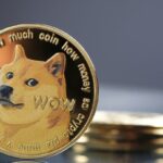 Doge investors shout "Hold!" and community support are given