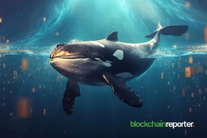 Whale sells 5 million fatcoin tokens as prices drop