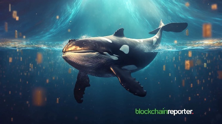Whale sells 5 million fatcoin tokens as prices drop