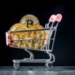 Metaplenet already has 5,555 bitcoin and does not plan to stop