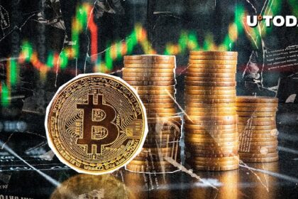 A very bullish Bitcoin (BTC) sign was born