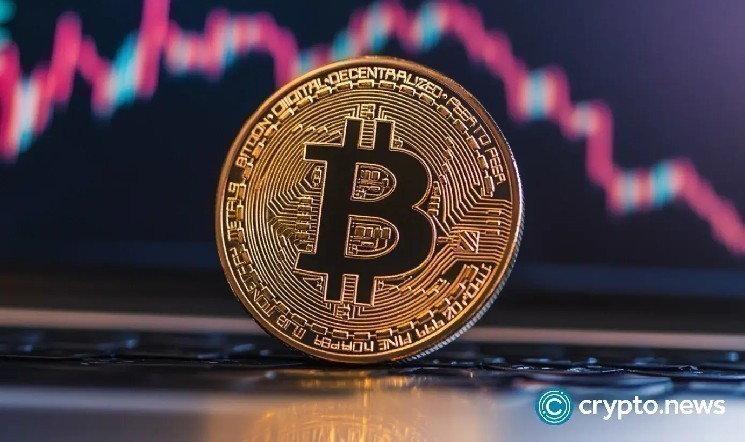 Smarter web companies will boost Bitcoin Holding to 346 BTC after doubled their funding target