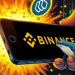 "Whale Alert" flagged new Euro Stub Coins as 10% of the euro supply moves to Binance