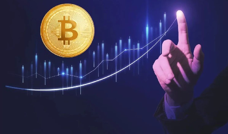 Cryptoquant analysts reveal the expected rate of Bitcoin's rise! He gave the peak price and date!