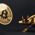 Is Bitcoin (BTC) still in the bull market, or has Bull Run finished? The analytics company will reveal the results of the survey