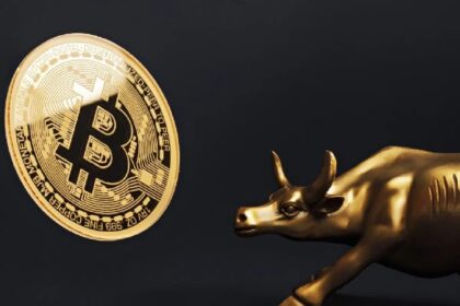 Is Bitcoin (BTC) still in the bull market, or has Bull Run finished? The analytics company will reveal the results of the survey