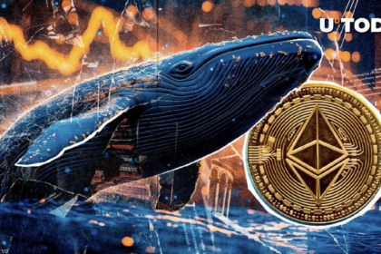 A massive Ethereum ICO whale suddenly moved its $12 million ETH relocation to Top Exchange