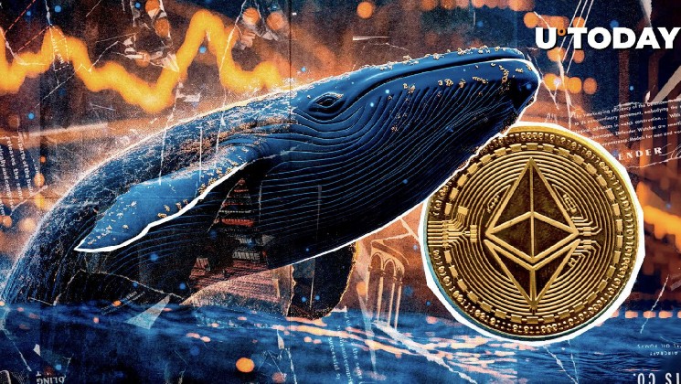 A massive Ethereum ICO whale suddenly moved its $12 million ETH relocation to Top Exchange